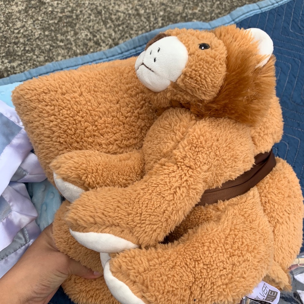 Lion and blanket